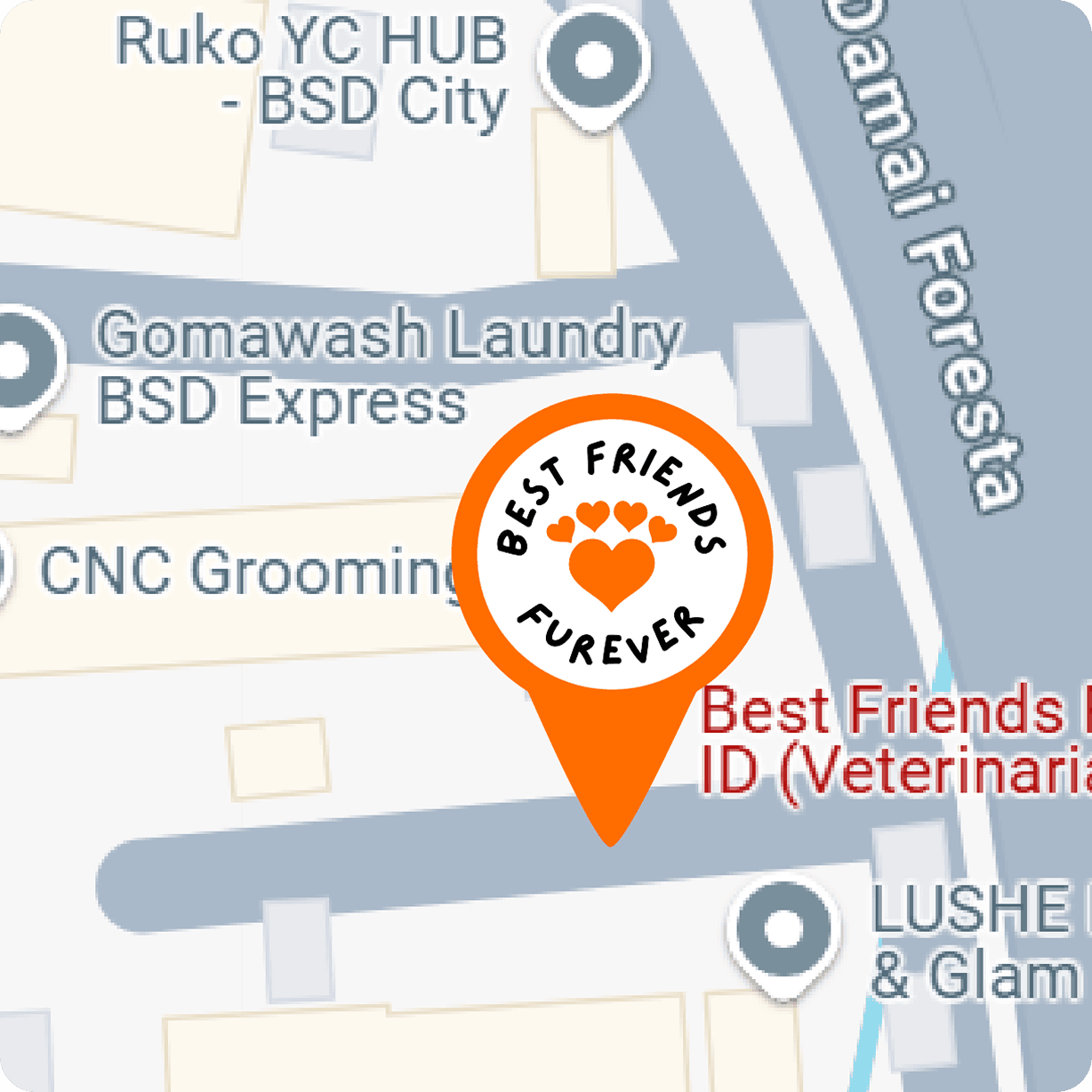 Map location of BEST FRIENDS FUREVER YC HUB